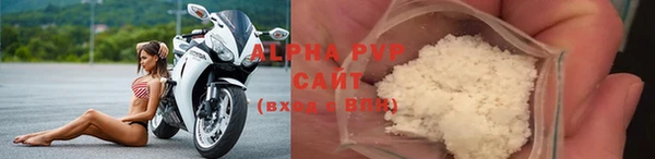 a pvp Белокуриха