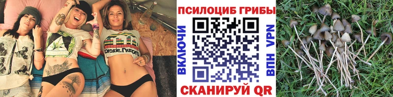 Псилоцибиновые грибы GOLDEN TEACHER Кола
