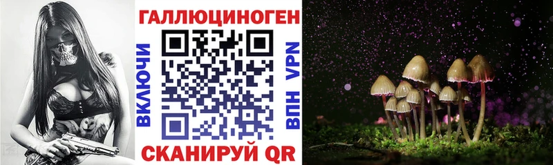Галлюциногенные грибы Cubensis  Кола 